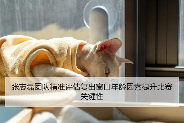 张志磊团队精准评估复出窗口年龄因素提升比赛关键性