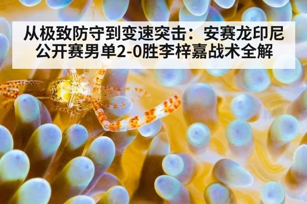 从极致防守到变速突击：安赛龙印尼公开赛男单2-0胜李梓嘉战术全解
